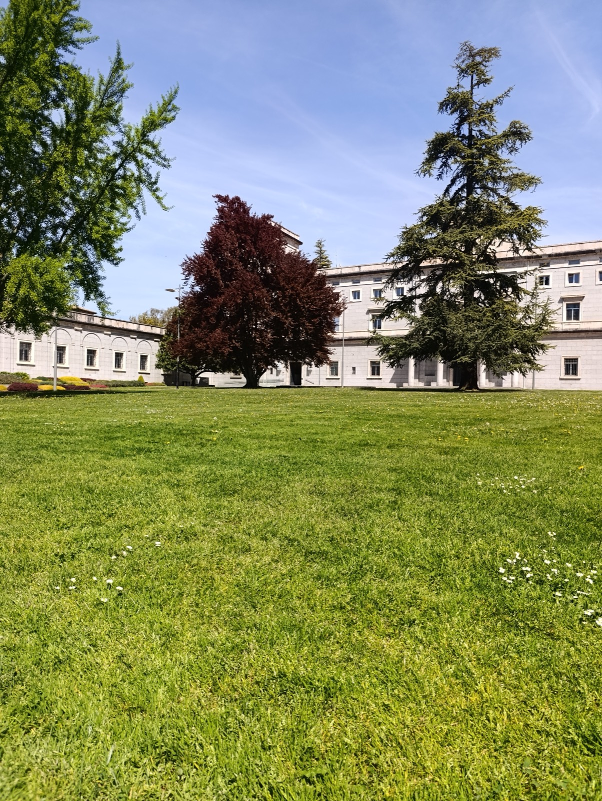 Jornadas XXII